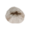white-dog-doll